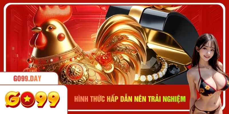 Các hình thức hấp dẫn nên trải nghiệm